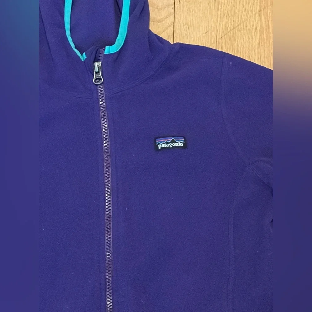 Patagonia fleece lightweight zip up hoodie jacket
